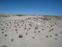 Ischigulasto - Valle de la luna